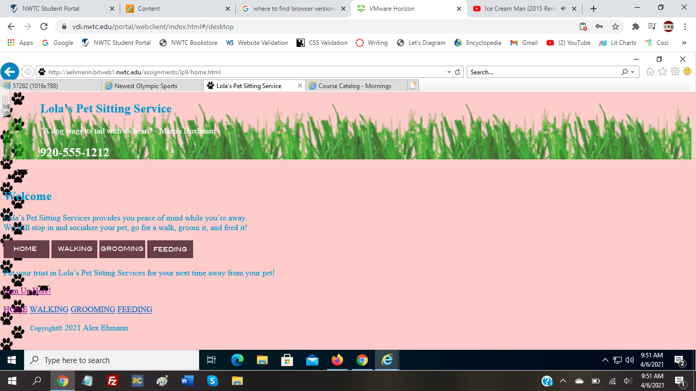 explorer pet sitting